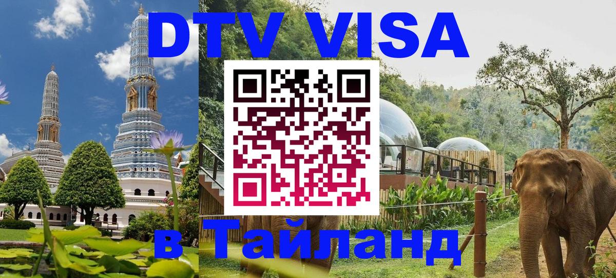 Купить DTV визу в Таиланд 